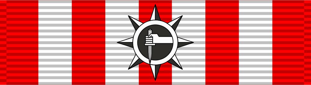 Special Service Medal